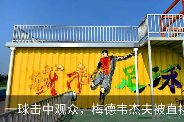 一球击中观众，梅德韦杰夫被直接判负，德约科维奇进决赛