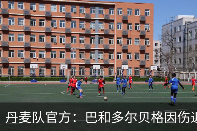 丹麦队官方：巴和多尔贝格因伤退出本期名单，加埃和达拉米入替