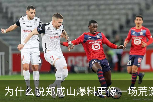 为什么说郑成山爆料更像一场荒诞闹剧？