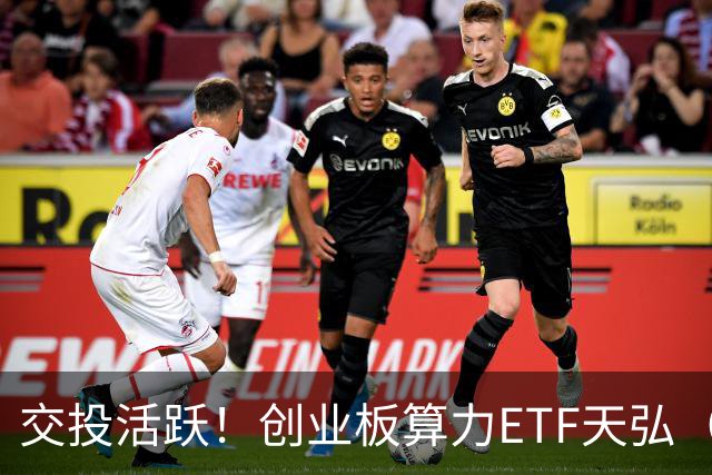 交投活跃！创业板算力ETF天弘（158061）标的指数逆市收涨近1%，换手率近60%，申购1.24亿份