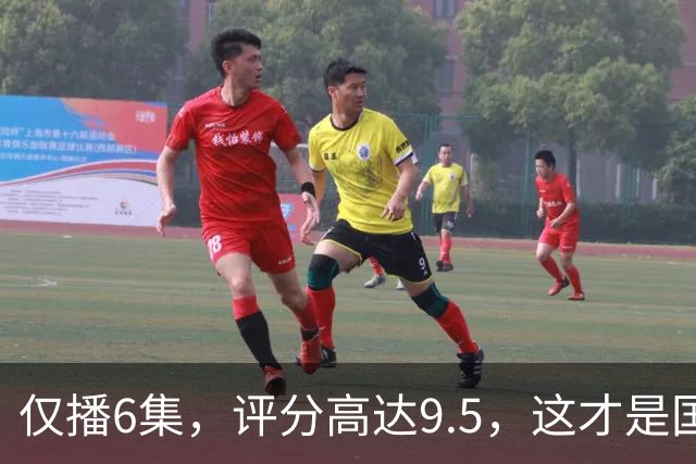 仅播6集，评分高达9.5，这才是国产悬疑剧该有的样子！