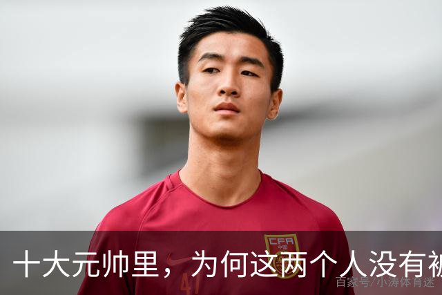 十大元帅里，为何这两个人没有被毛主席训斥过：一个不忍心，一个没必要