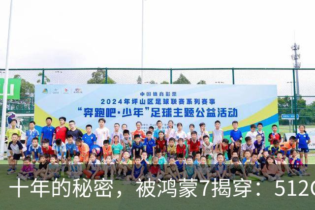 十年的秘密，被鸿蒙7揭穿：512GB，背后到底水分多深