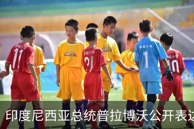 印度尼西亚总统普拉博沃公开表达对巴勒斯坦人的支持，高呼解放巴勒斯坦