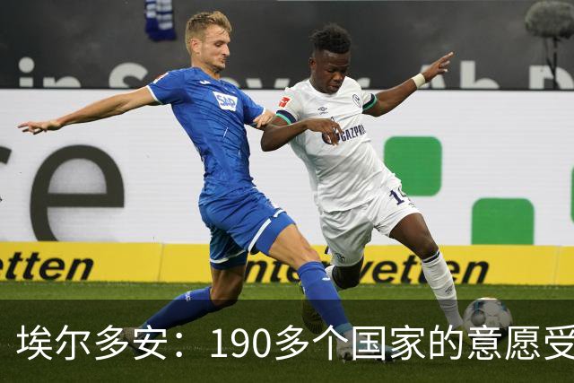 埃尔多安：190多个国家的意愿受制于五个国家，无法完全建立信任