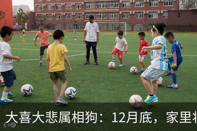 大喜大悲属相狗：12月底，家里将发生5件大事，提前准备