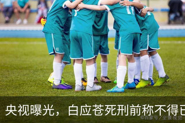 央视曝光，白应苍死刑前称不得已，蛇蝎美人白应兰落网近在咫尺