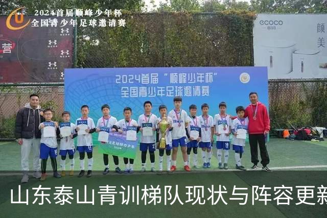 山东泰山青训梯队现状与阵容更新换代深度分析