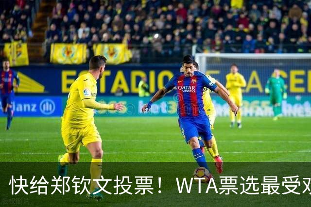 快给郑钦文投票！WTA票选最受欢迎1000赛夺冠表现，郑钦文暂列第2