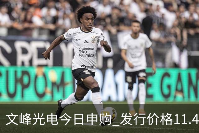 文峰光电今日申购 发行价格11.45元/股