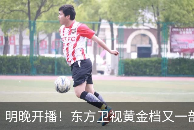 明晚开播！东方卫视黄金档又一部好剧来袭！实力派阵容飙戏