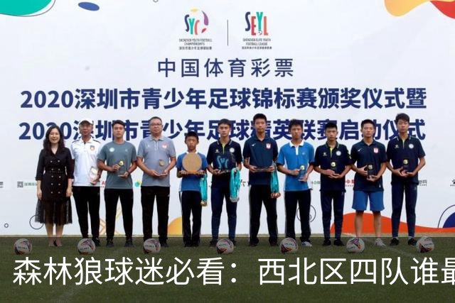 森林狼球迷必看：西北区四队谁最烦人？评分从1到5