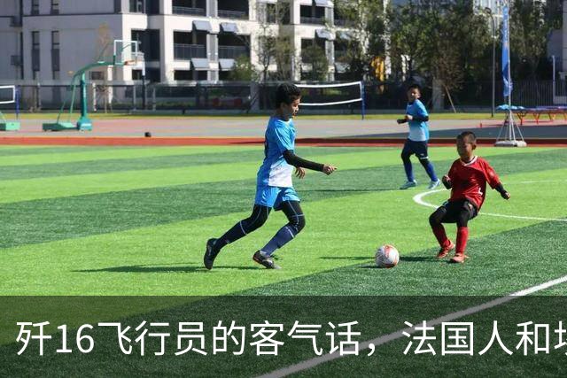 歼16飞行员的客气话，法国人和埃及人可能要当真了？我国飞行员表示，阵风战机近距能力确实要强，飞机机动性确实要强！