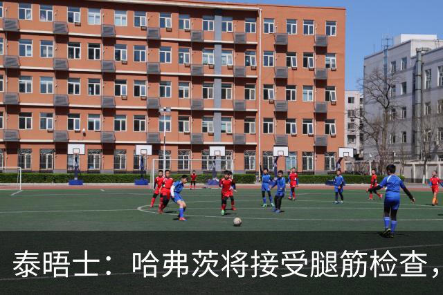 泰晤士：哈弗茨将接受腿筋检查，德国方面担心其可能伤缺4周