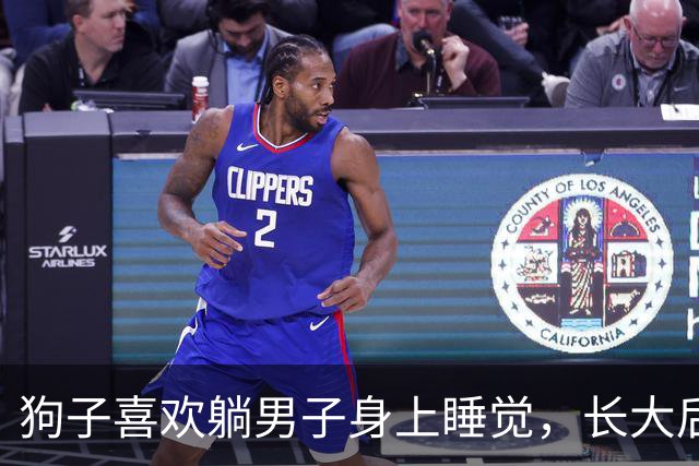 狗子喜欢躺男子身上睡觉，长大后习惯没改，网友：快窒息了！