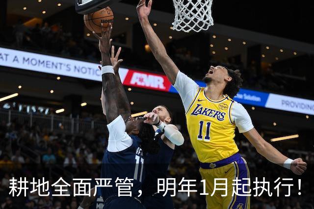 耕地全面严管，明年1月起执行！家家户户都得留意，提前做好准备