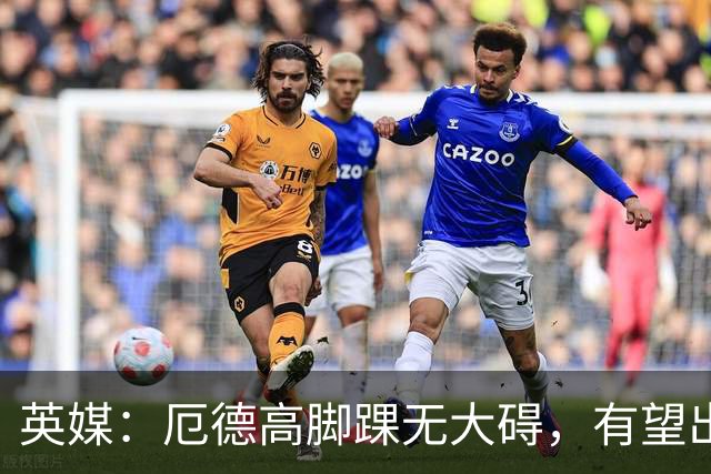 英媒：厄德高脚踝无大碍，有望出战威尔士