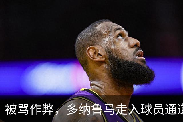 被骂作弊，多纳鲁马走入球员通道又返回与利物浦球迷争辩