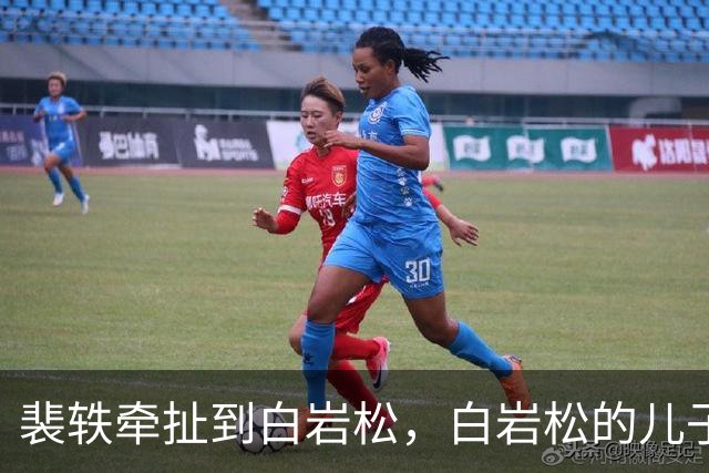 裴轶牵扯到白岩松，白岩松的儿子在英国读蒙古史，回国到中央民族大学任教