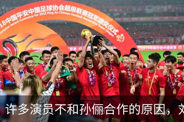 许多演员不和孙俪合作的原因，刘涛早就说过她太细节控了