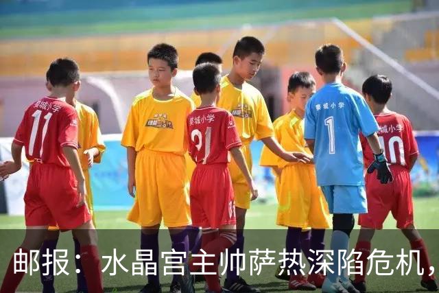 邮报：水晶宫主帅萨热深陷危机，但俱乐部高层的失职同样难辞其咎