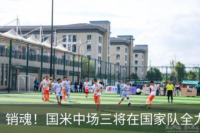 销魂！国米中场三将在国家队全力进攻 这是否将成为齐沃的麻烦