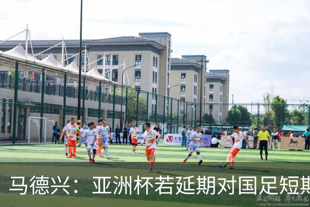 马德兴：亚洲杯若延期对国足短期利大于弊，但会打乱世预赛节奏