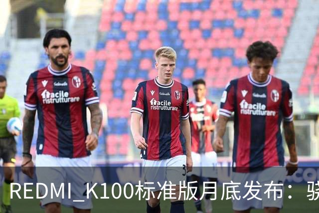 REDMI K100标准版月底发布：骁龙双芯、超大电池、超高刷屏